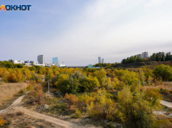 Под Волгоградом едкий запах серы травит людей по утрам