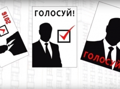 Мультипликатор из Камышина просит кандидатов в Госдуму вместо макулатуры сделать что-то полезное