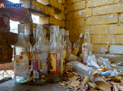 Волгоградцам рассказали, как вернуться живыми с новогодних корпоративов