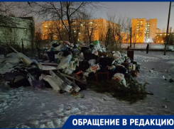 «Опять мусорный коллапс?»: праздничные отходы неделю не вывозят в Волгограде
