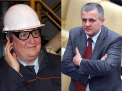 Депутат Госдумы усомнился, что у депутата облдумы Осипова выросла «надирка»