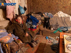  Греется дохлыми кошками: как волгоградка заживо замерзает в доме без газа и воды