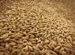 Рабочий элеватора погиб в зерне от удушья под Волгоградом