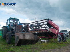 Придется подключать смекалку: волгоградский фермер рассказал о непростом поиске семян на следующий год