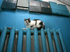 Началась подготовка к новому отопительному сезону в Волгоградской области