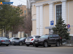 Экс-судью уволили из мэрии Волгограда после скандального видео