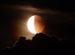 Красную луну волгоградцы увидят сегодня во время затмения 
