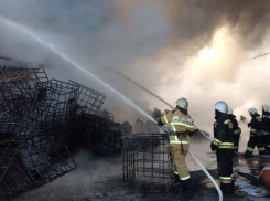 Под Волгоградом на пожаре сгорели двое человек
