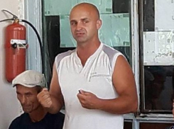 Мне ни холодно, ни жарко с ваших коров, - подозреваемый в расстреле беременных животных волгоградский бизнесмен