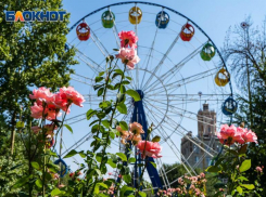 Гороскоп на неделю: у Тельцов приятные хлопоты — у Водолеев большие перемены