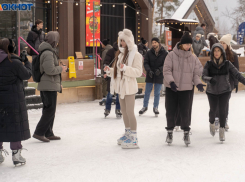 Резкое потепление придет в Волгоград к 14 февраля 