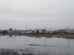 Почти две сотни дворов ушли под воду в Волгоградской области 