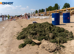 Дату открытия купального сезона назвали в Волгоградской области