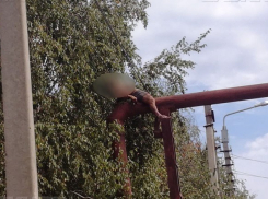 Погибший на электропроводах волгоградец спасался от демонов