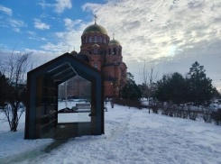 Мэрию Волгограда ткнули носом в позорный свинарник в центре города