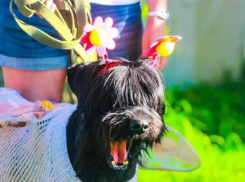 Мама, хочу обратно в лето: волгоградцев ждут ночные заморозки