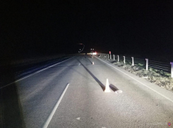 Девушка погибла на месте аварии в Волгоградской области