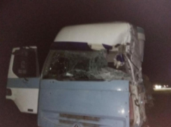 Среди пострадавших в смертельном ДТП в рейсовом автобусе Волгоград-Ставрополь есть дети