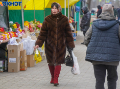 Цветочные ярмарки открываются в Волгограде к Восьмому марта: полный список адресов 