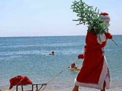 Волгоградцам не на что ехать за границу на новогодние праздники