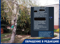 QR-код не понадобится: привитых родителей не пускают на утренники в детские сады Волгограда