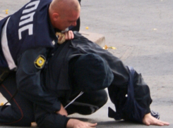 Под Волгоградом главу сельского поселения осудят за избиение полицейских