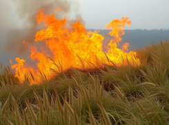 Три гигантских пожара выжгли 8 Га дотла в Волгограде