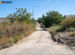 Почти на 30 тысяч сократилось население Волгоградской области 