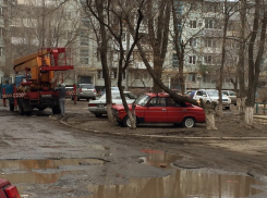На юге Волгограда дерево рухнуло на ВАЗ-2106
