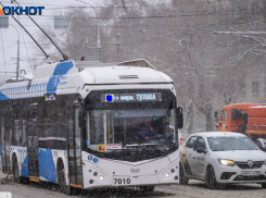 Волгоградцы направили коллективное заявление министру транспорта о запуске троллейбусов до аэропорта