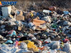 В Волгограде спасено СНТ, утонувшее в 110 кубометрах мусора
