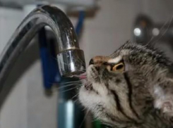 Краснооктябрьский район Волгограда на двое суток останется без воды 