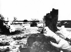 28 января 1943 года – командование окруженной в Сталинграде 6-й немецкой армии Паулюса предсказывает, что сопротивление армии окончательно будет сломлено до 1 февраля