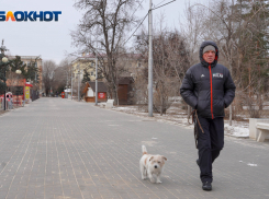 Второй день весны принесет в Волгоград сильный ветер и снег