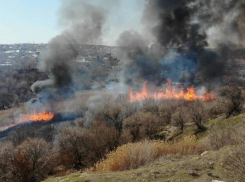 Крупный пожар бушует рядом с областной больницей в Волгограде