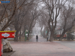 Весна в Волгограде: 31 марта воздух прогреется до +21 градуса