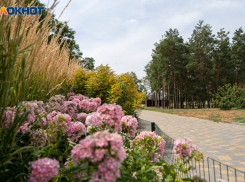 Грозы и сильная жара: погода в Волгоградской области на 21 августа