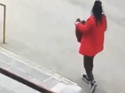 В Волгограде на видео попала коварная воровка вазона у школы 