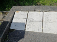  «Обидно до слез», - волгоградка о состоянии братской могилы и памятнике Паникахе на проспекте Металлургов