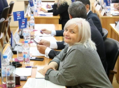 Волгоградские депутаты потратят на самопиар бюджетные миллионы 