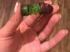 Волгоградка купила говядину с охотничьей пулей внутри