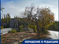 В Волгограде с полицией ищут собственницу квартиры, из-за которой весь подъезд неделю сидит без воды