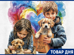 Бесплатная стерилизация собак