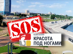 В Волгограде хотят уничтожить ООО «Компания красота под ногами»