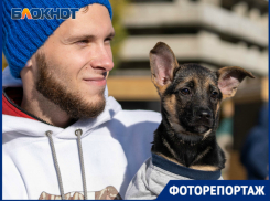 Милые щенки, дорогой сердцу винтаж и яркие поделки: волгоградцы устроили гаражную распродажу