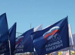 «Единая Россия» выставила кандидатами в депутаты полковника запаса и сына местечкового олигарха