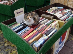 Любители книг будут «перелистывать лето» в центре Волгограда