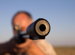 Под Волгоградом браконьеры ответят за убитую косулю