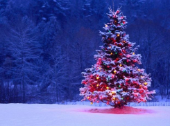 Уехать за границу на Новый год планируют менее 10 процентов жителей Волгограда