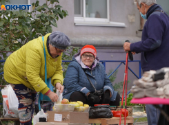 Размер пенсии в Волгоградской области составил более 17 тысяч рублей